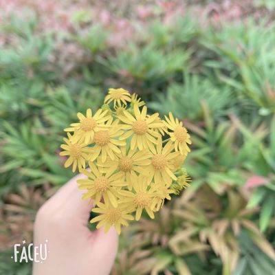 无