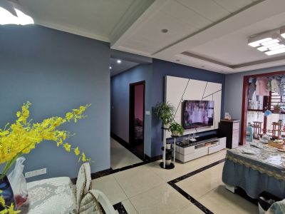 效果安逸的很！