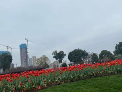 全屋定制设计家具定制设计