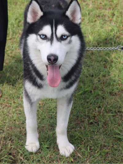 室内墙体翻新墙体翻新