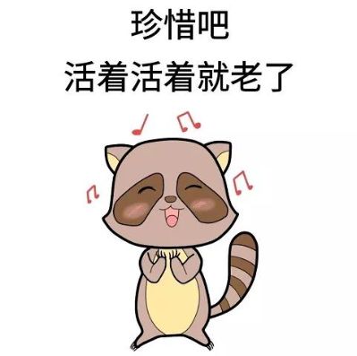 安装