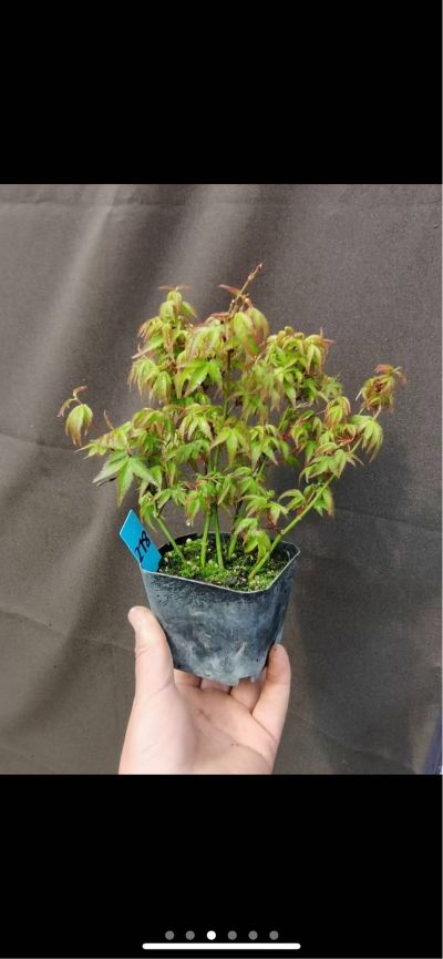 木工