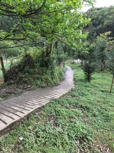 水电