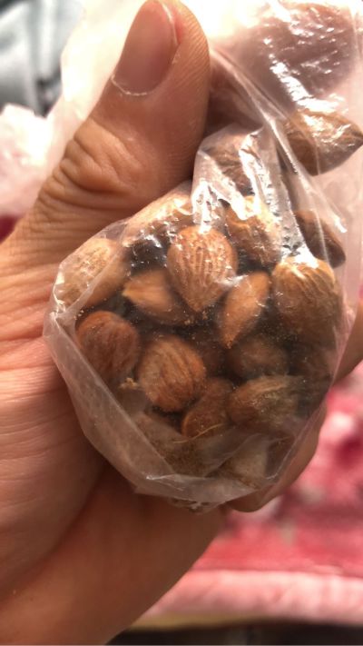 泥工
