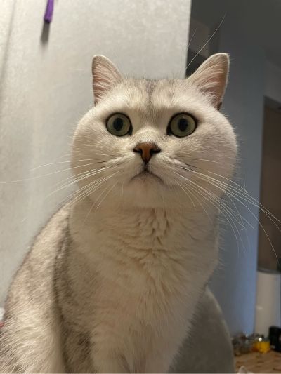 个人