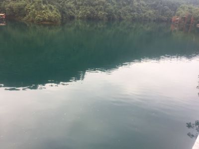 网络与新媒体