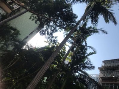 汽车美容