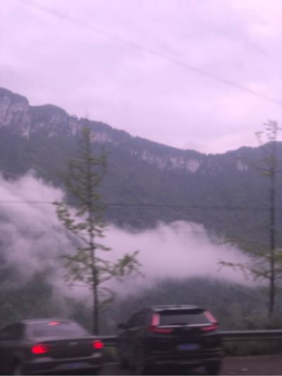 电脑监控网络
