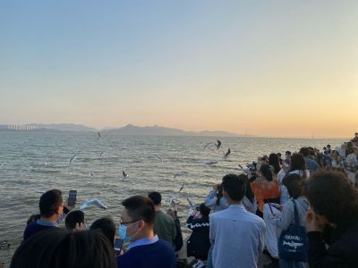 接单装修水电