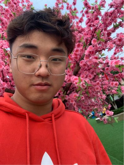 装修家装开关无