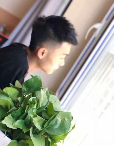 壁纸壁布壁画装饰