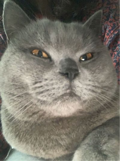 教育