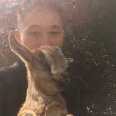 销售采集推广