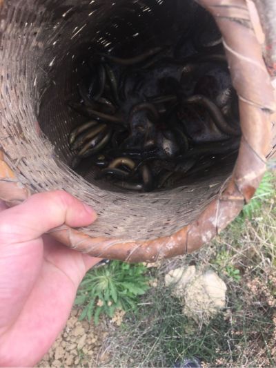 贴砖批墙切砖