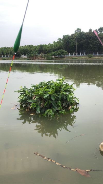 修理