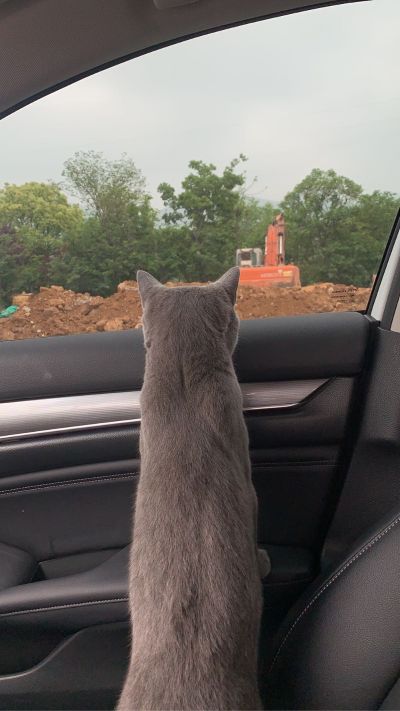 脖子疼