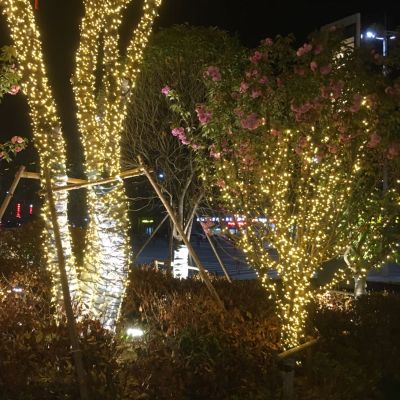 电工
