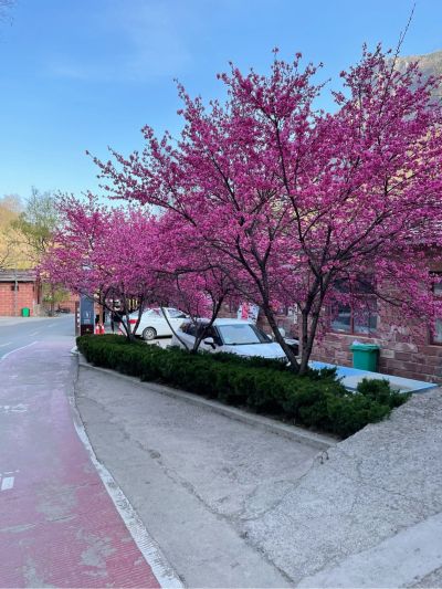 家装灯具洁具水电家装水电维修安装