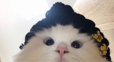 水泵