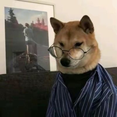 被他