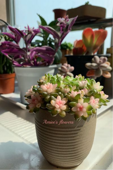 自由职业