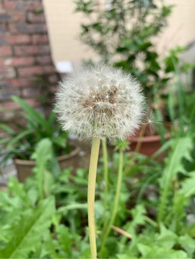 平面设计平面设计