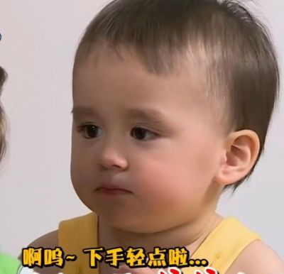 树木