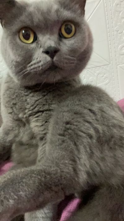 电源跳闸，拉闸后一二楼恢复用电，三楼未恢复，可能是不同电路。需有经验的电工师傅查看维修