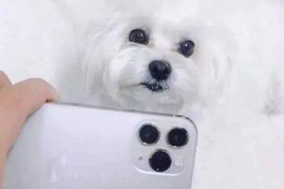 不锈钢