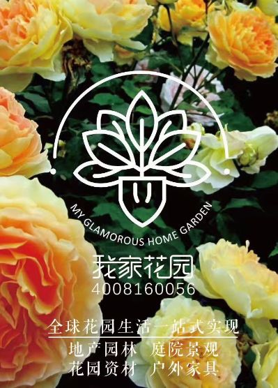 景观园林
