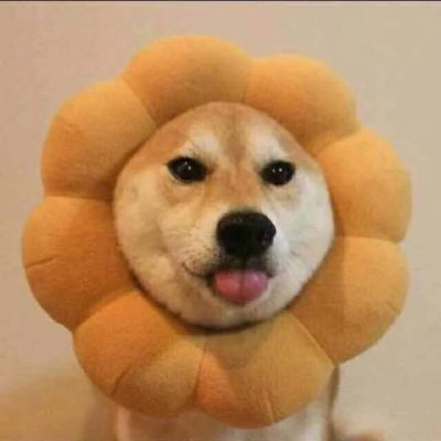 装修设计装修效果图装修施工图