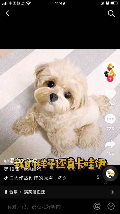 无
