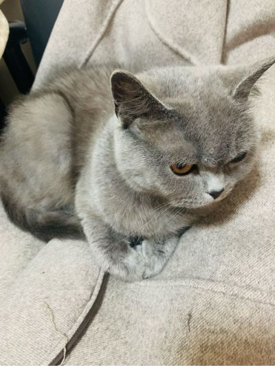 客户