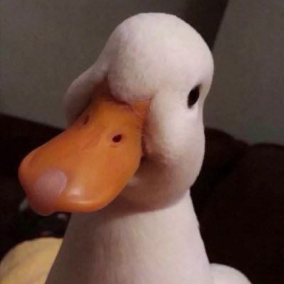 隔墙安装