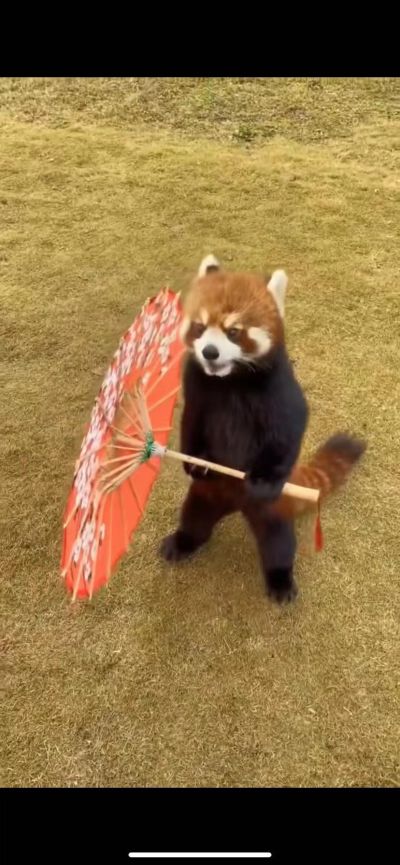 家具家电安装