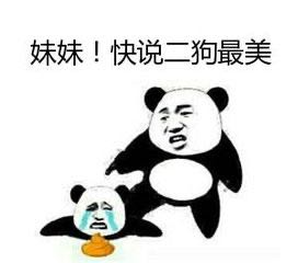 电路玻璃杂活隐私安全防爆