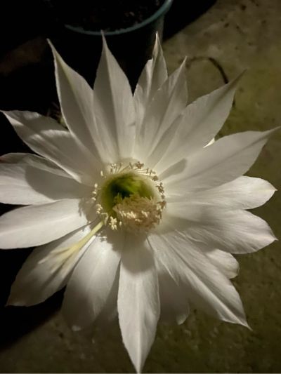 水电木工卫浴水电安装维修