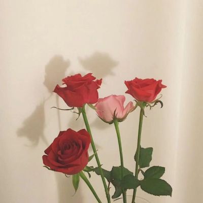 护理专业
