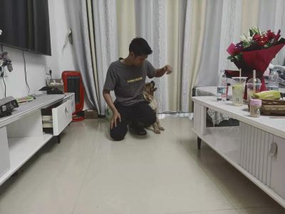 水电照明类安装维修类焊接类