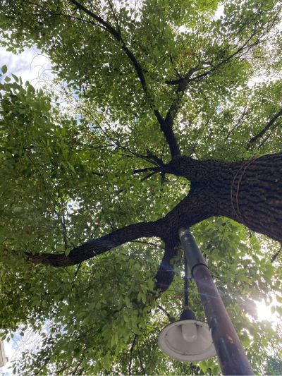 安装维修师傅