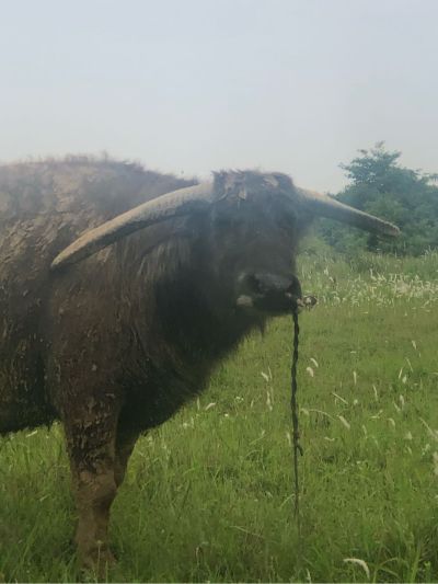 电焊手把焊锦程钢结构