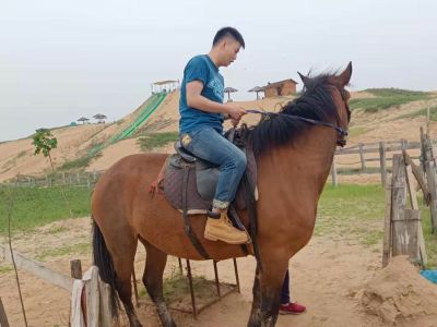 室内设计