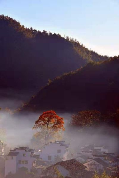 土建