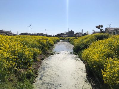 电梯安装