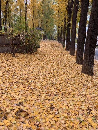 木工维修安装无
