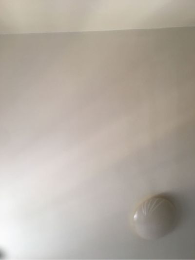 散工