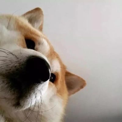 家具美容贴膜
