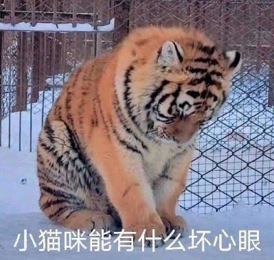 工程师