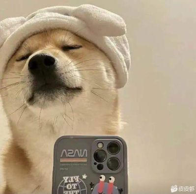 维修