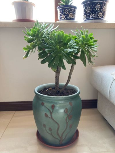 杂工
